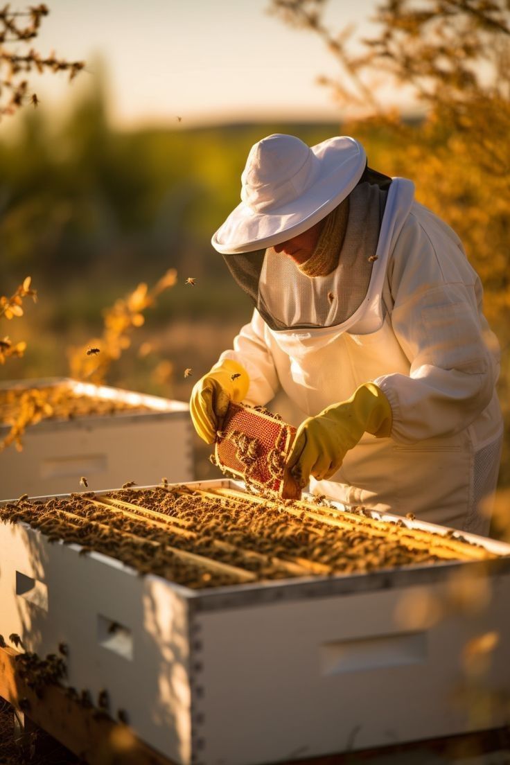 Modern Agriculture